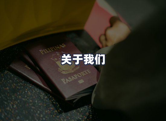 关于我们